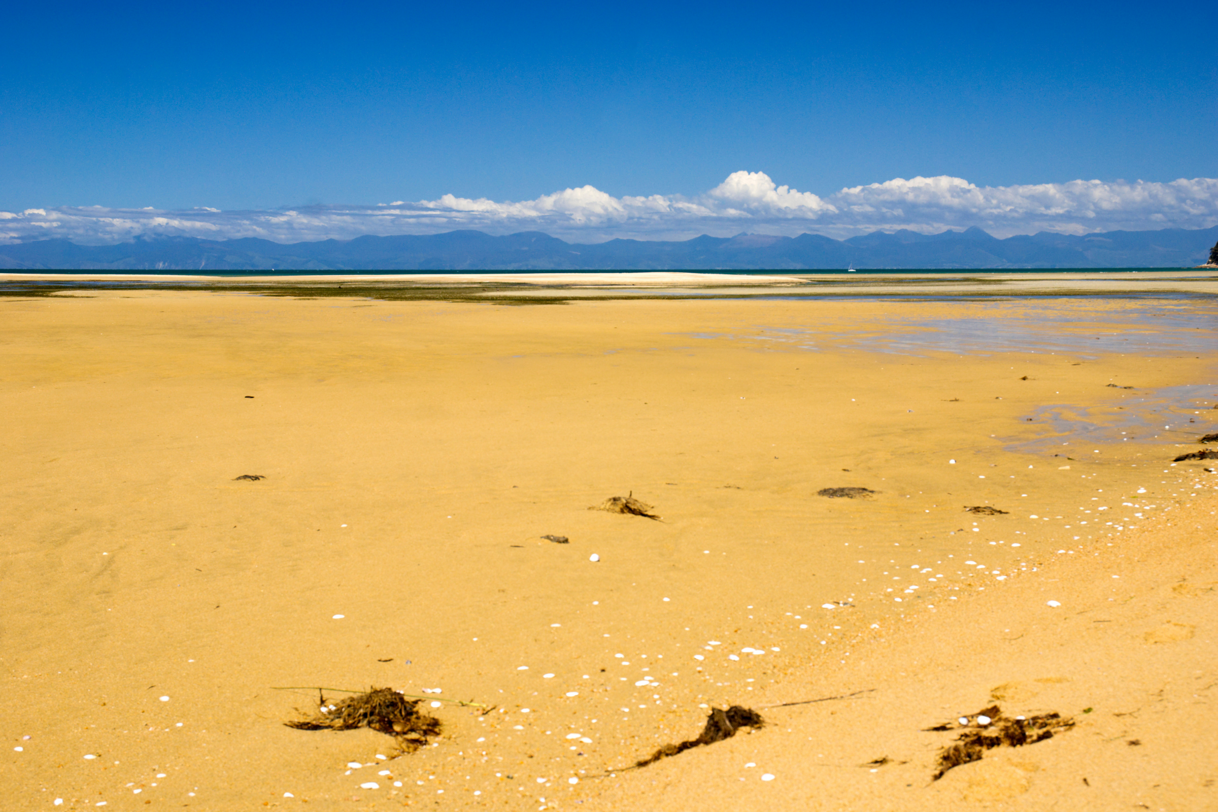 marahau (3).webp